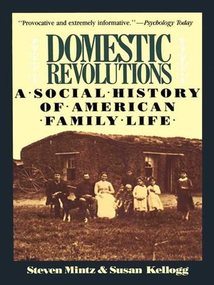 cover image of Domestic Revolutions